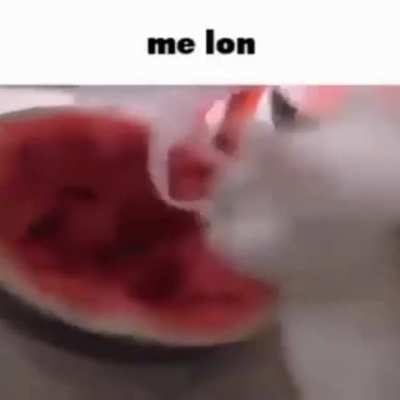 Me lon