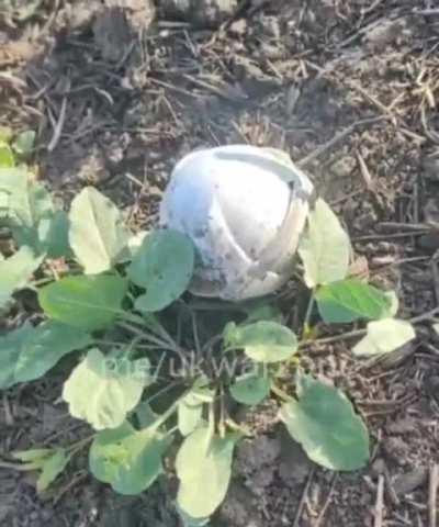A Ukrainian soldier records the arrival of two Russian RBK-500 cluster glide bombs and shows the area of impact as well as a submunition