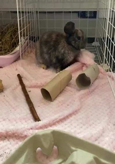 Does name ‘Peaches’ suit her? Trying to decide on a name :)