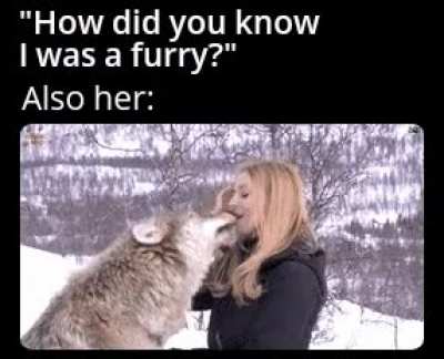 What the dog doin'?