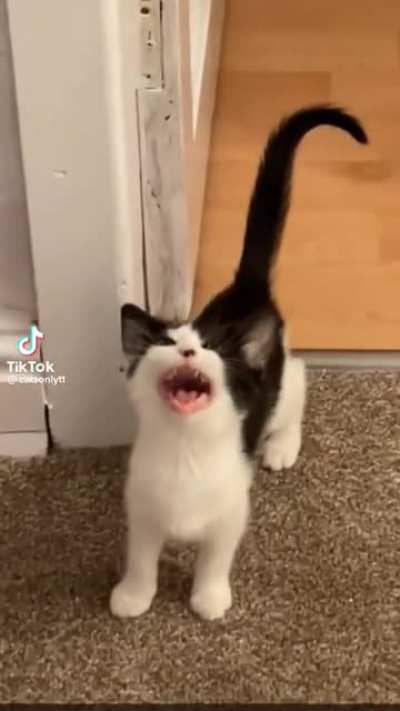 Arrrrrrrrrrghhhhhh!