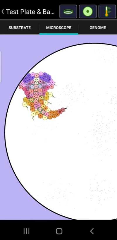 Pulseworm 2