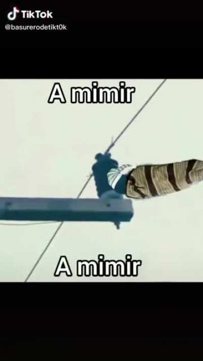 a mimir