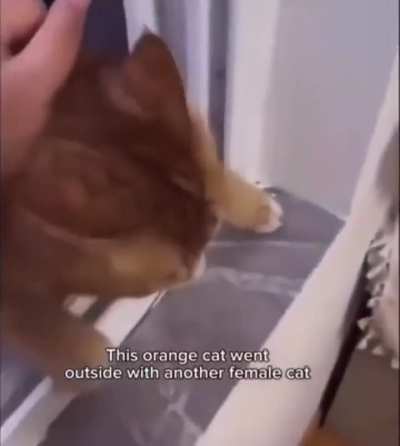 He got found out