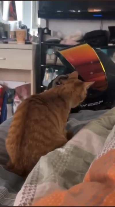 to find the culprit 
