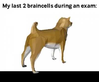 doggo spins