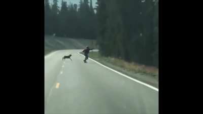 Fighting dogs in Sekiro be like