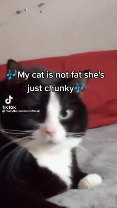 Other people: your cat is way too fat&hellip; Me: