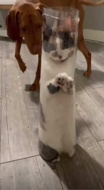Tightest pussy