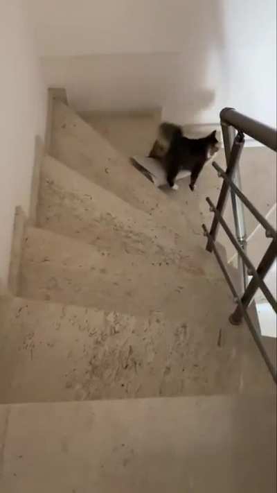 This belongs downstairs