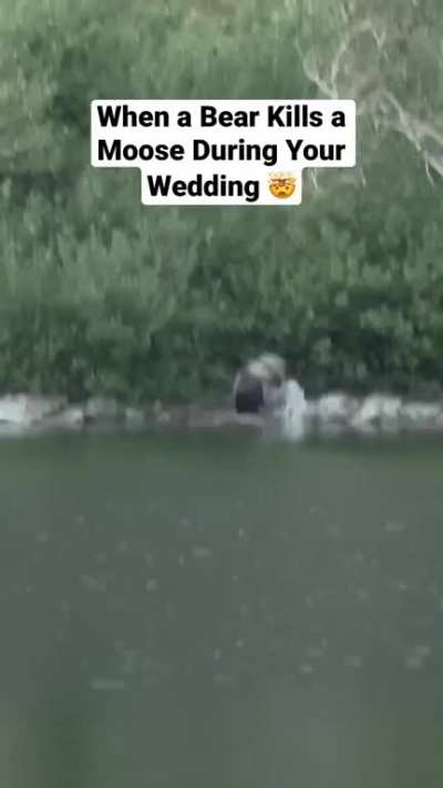 Nature Crashes Wedding