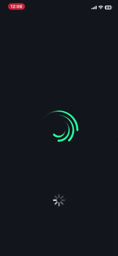 Alight motion never launches