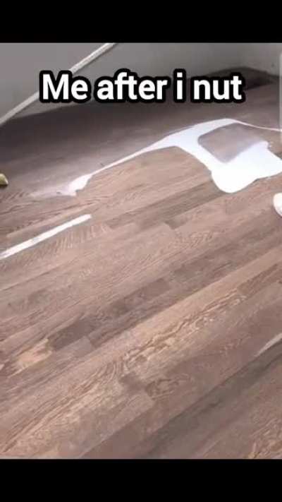 gotta coat the floor