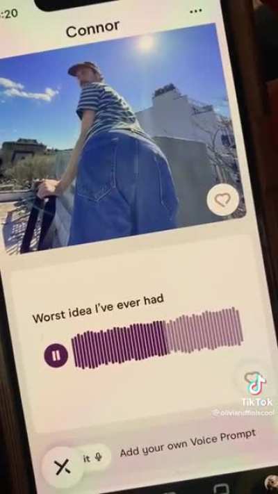 The best dating profile ever