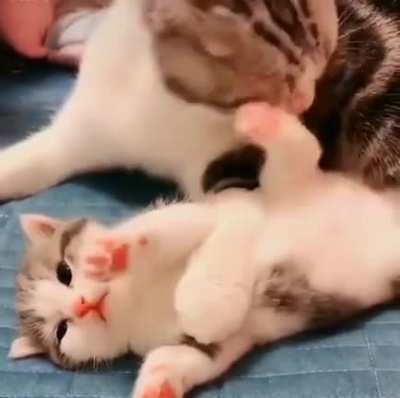 MOM!!!