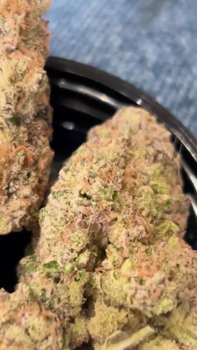 grape audacity [sugar tab #8] (LCG x grandi candi) grown by entropy farms—would never know its an LCG cross. phenomenal smoke with a great day-time high