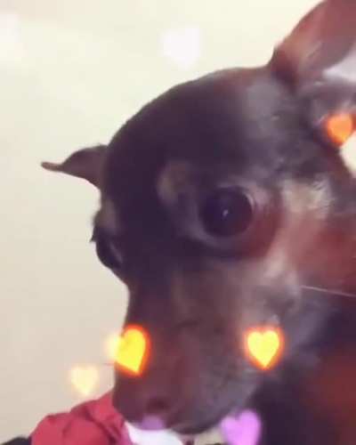 👉👈