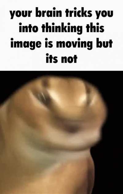Rule