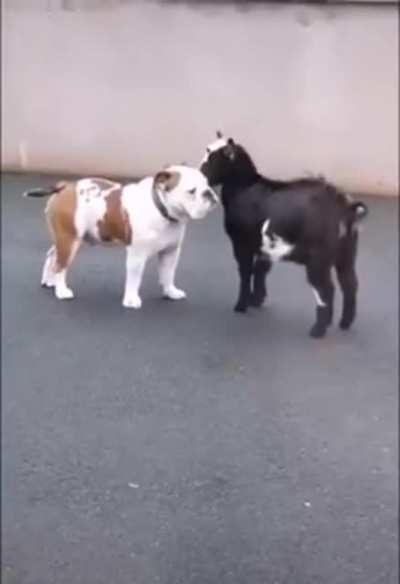 never give up