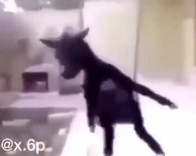 😔😔😔