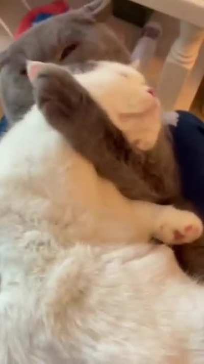 Sooo cute