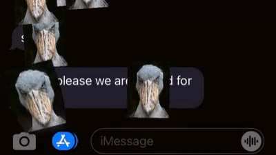 Rule