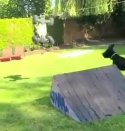Niña Flip (☉｡☉)!→