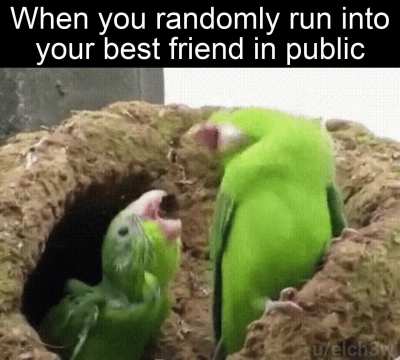 Happy times