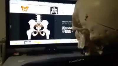 HENTAI🤬😡