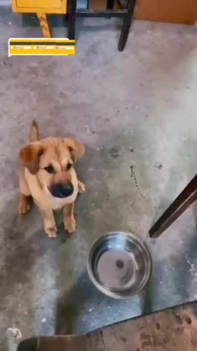 You see that empty bowl, Karen?! Why ain&rsquo;t it full? Huh?!