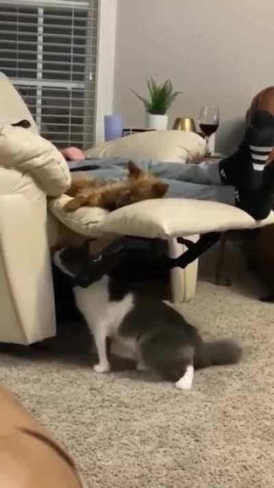 Going out of your way to annoy your nemesis