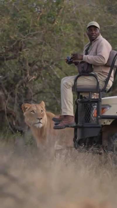 I definitely saw a lioness! Where the Hell did she go?! Oh s#*&yen;!