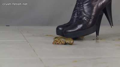 beautiful Jocelyn boots