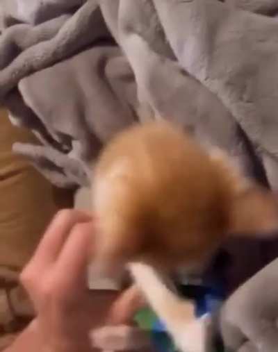 Mine!!!