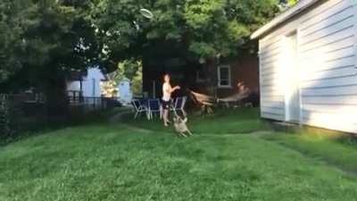 Catch frisbee