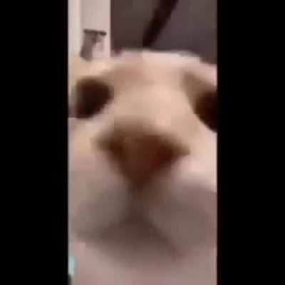 😱