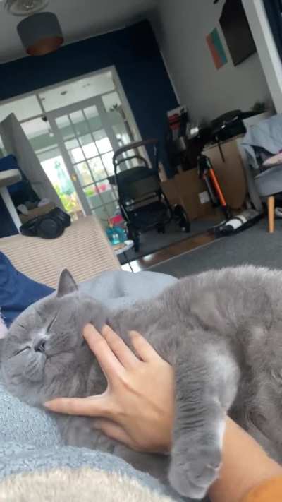 It started with &lsquo;you do my belly, I do yours&rsquo; but ended with him melting from the tickles