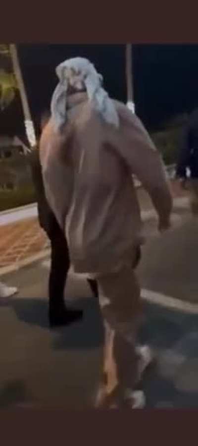 Fan tries to take a photo or video with Bad Bunny, he catches and throws the cell phone away.