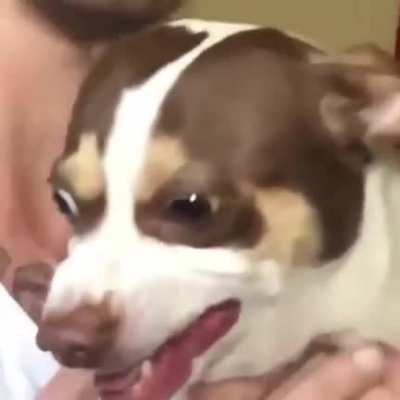 I gotchu on camera