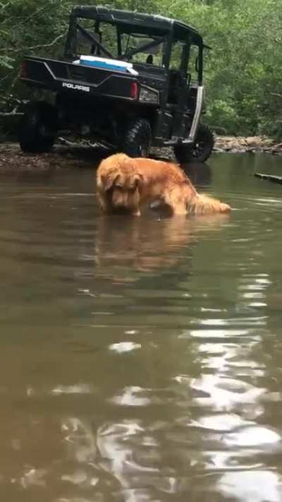 He&rsquo;ll do this for hours and hours despite his lack of success. Fishing for tiny perch in the creek is his favorite pastime.