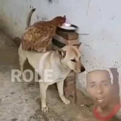 é o role