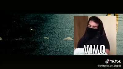 Vamos l&aacute; meus companheiros