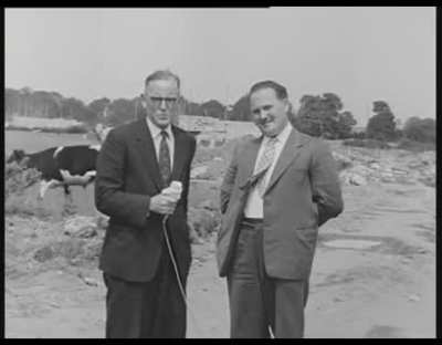 Housing in Ireland - The Best Thing We&rsquo;ve Ever Done? 1962
