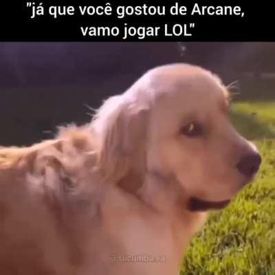 vish