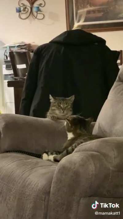 Miscatculated sneakiness abilities