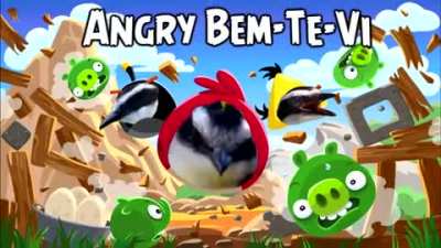 EU AMO BEM-TE-VI