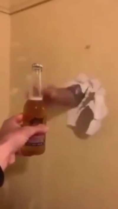 Cerva