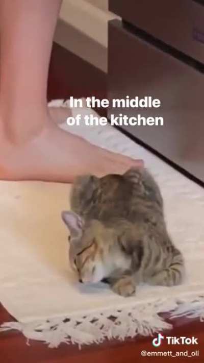 She always looks so comfy tho