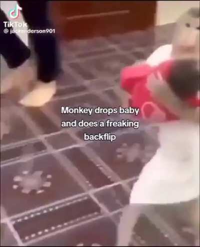 monkey