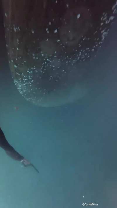 Diver polishing a ships propellor